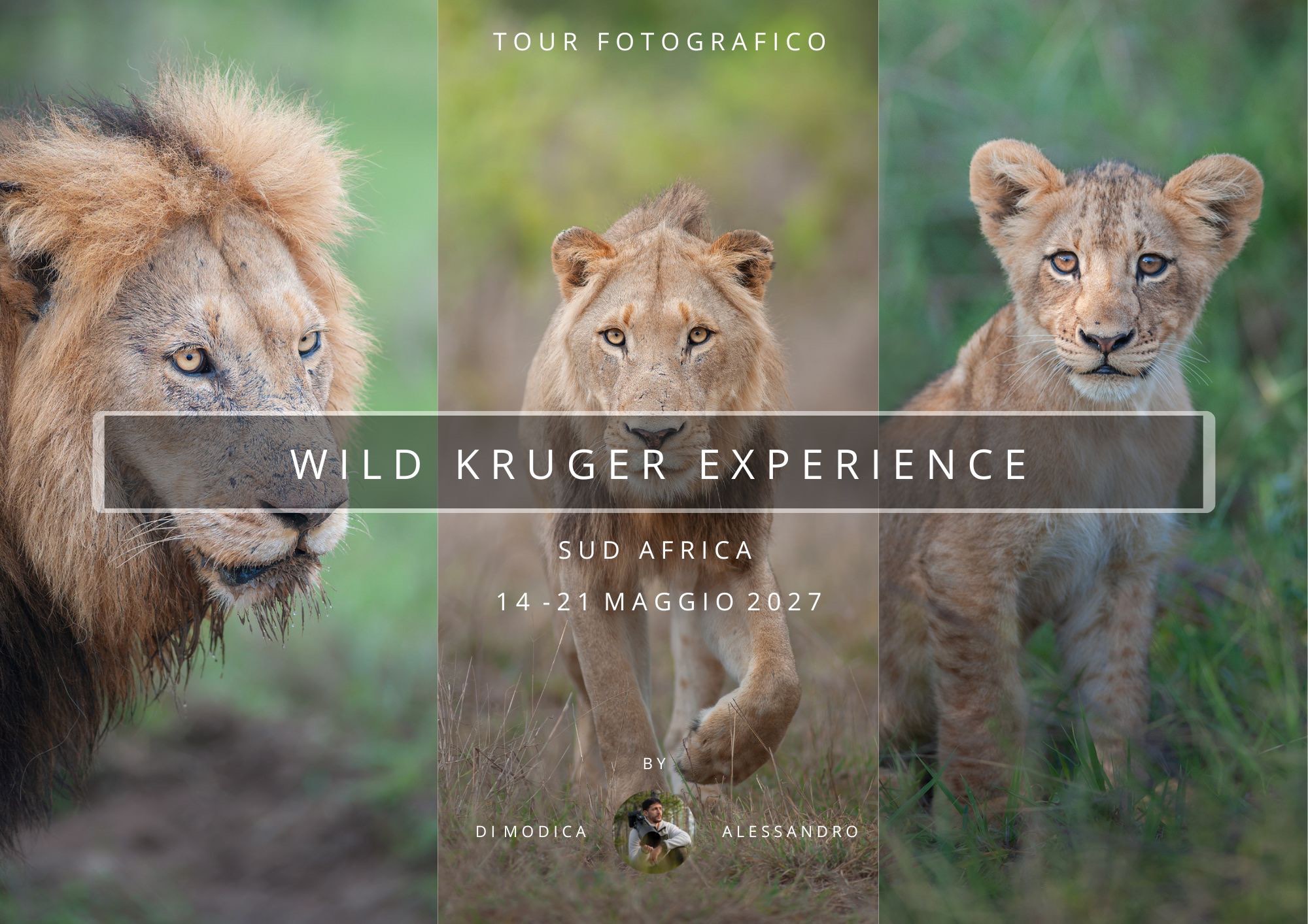 WILD KRUGER EXPERIENCE
